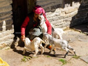 A thrilling experience of watching unexposed nature for a lifetime attainment