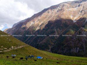 We reached our tents to keep our rucksacks and roll around the beautiful Dayara Thatch.