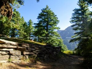 The most magnificent trail came alive by seducing eyes with wonders building our dreams.