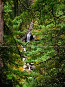 The miracle of trail with variant nature and ardent pasture were carpeting the pathways.