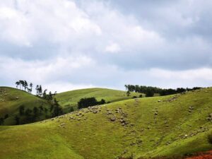 meghalaya tourism