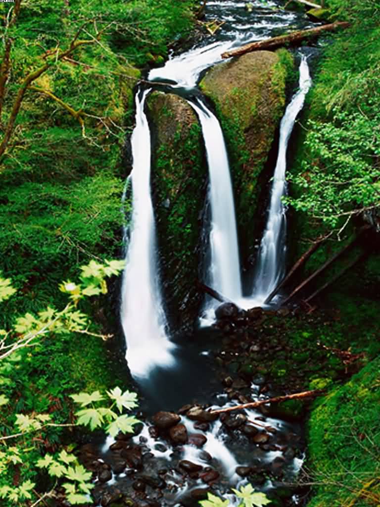 Triple Falls of Nagaland will be a treat to your eyes