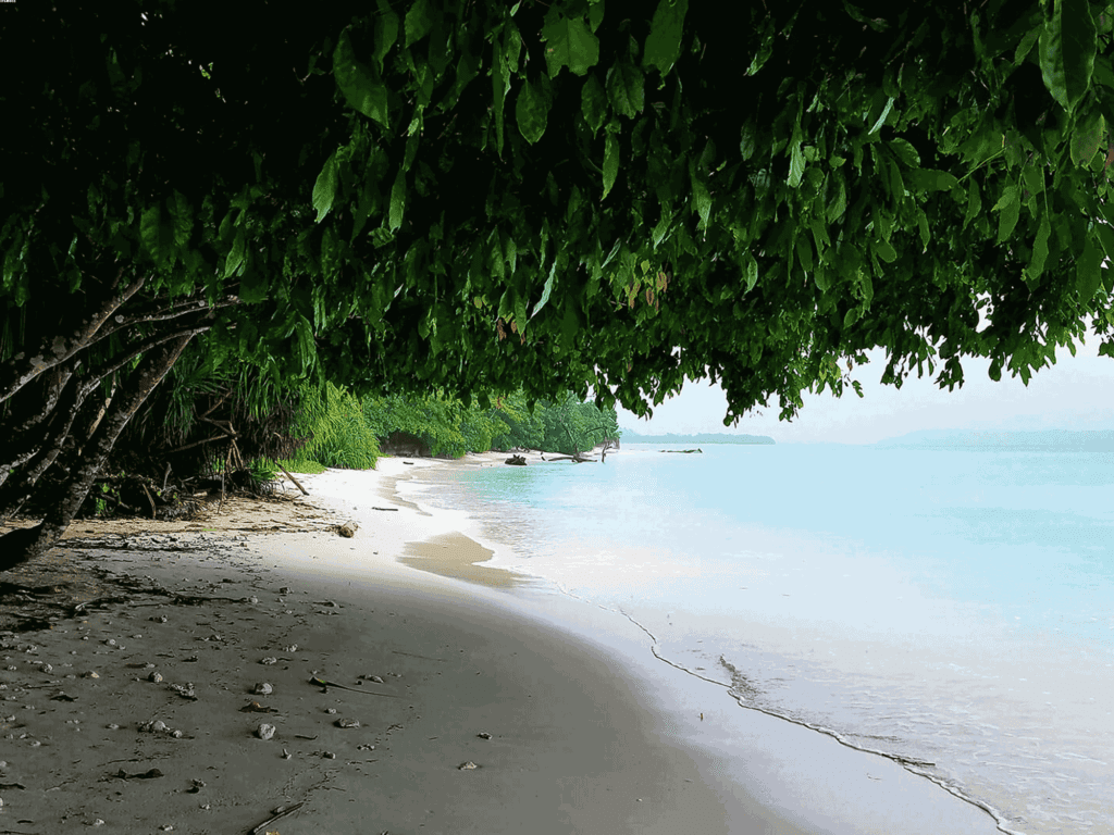 A famous attraction of Havelock Island, the Radhanagar beach