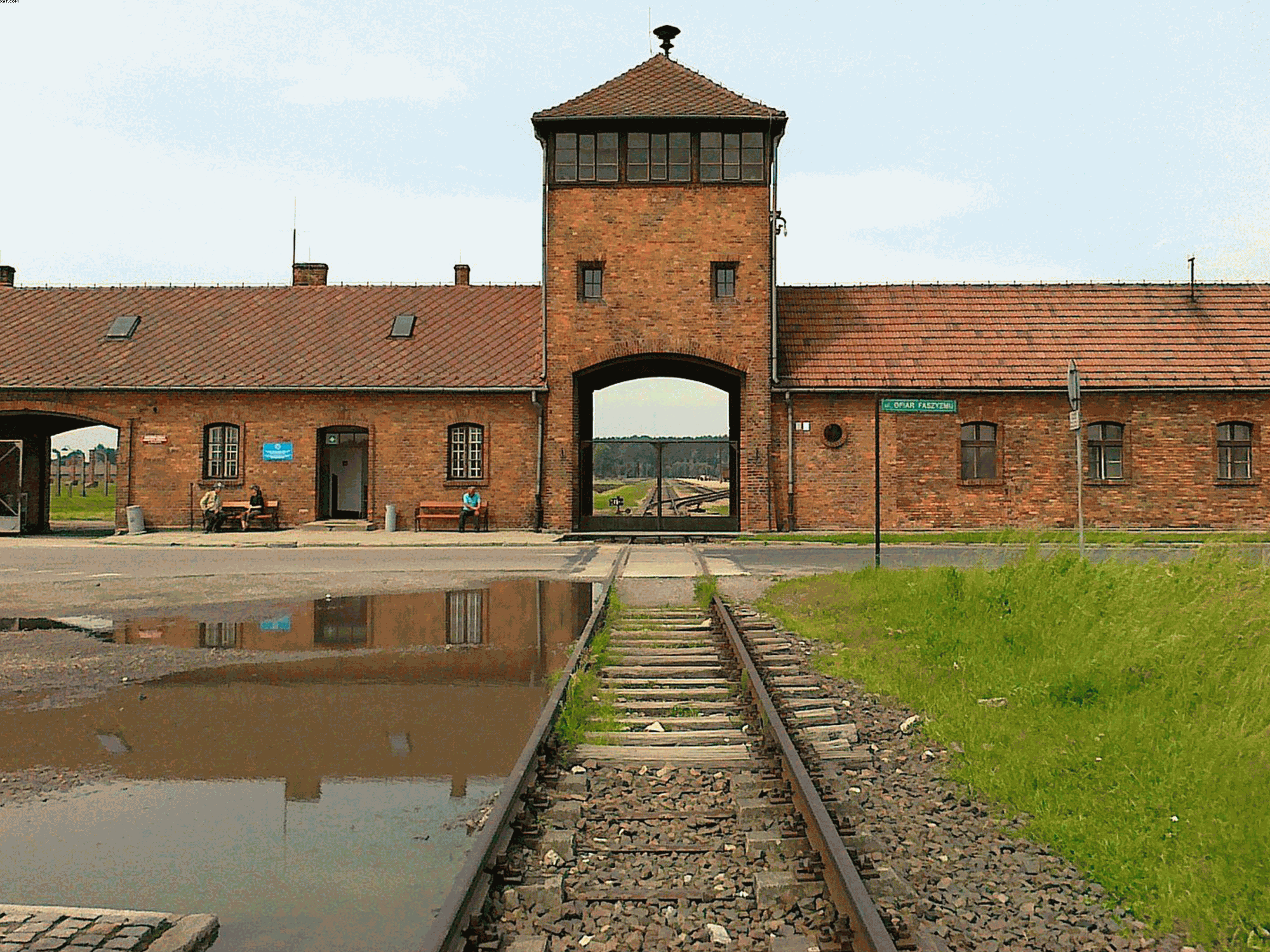 Auschwitz History and Atrocities