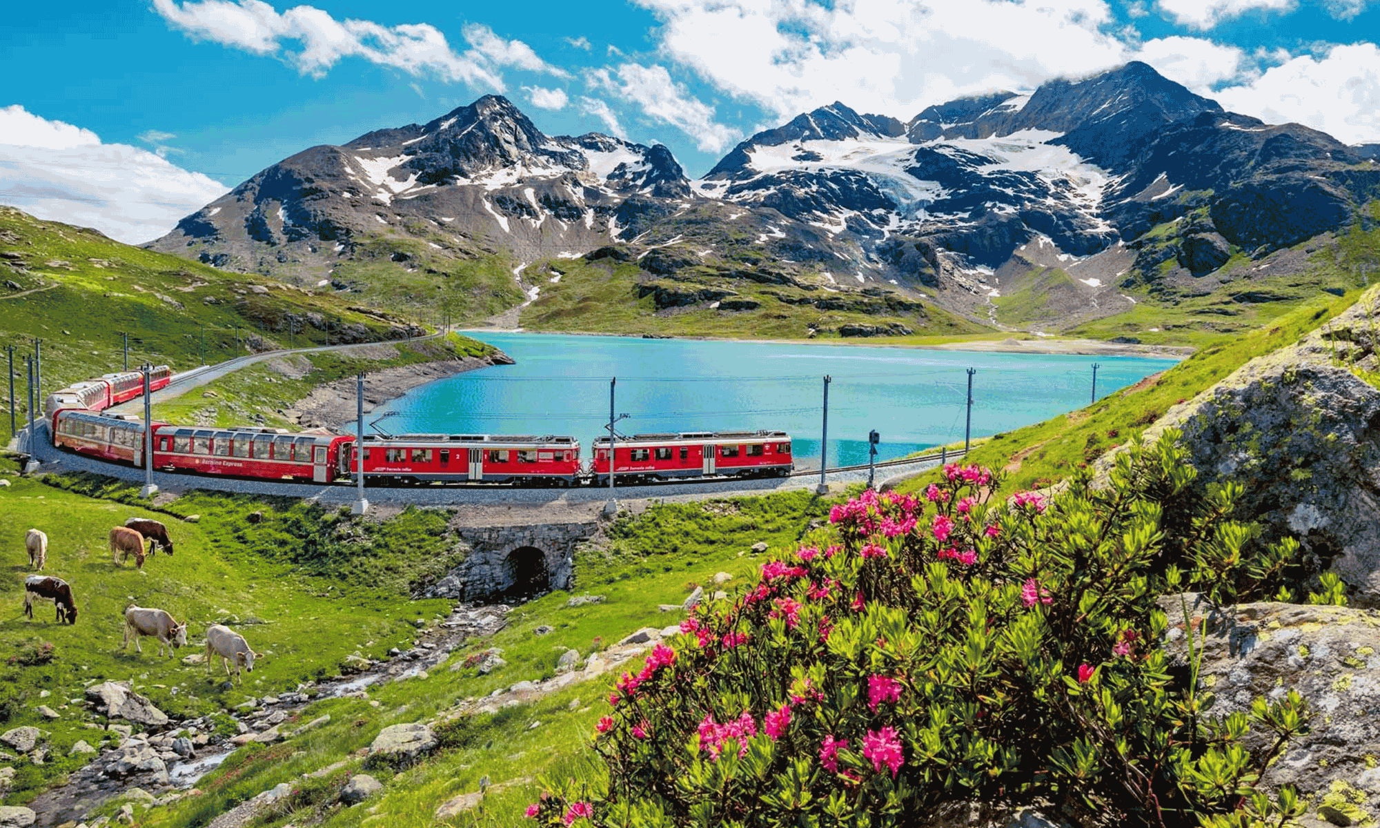 Exploring the Majestic Swiss Alps