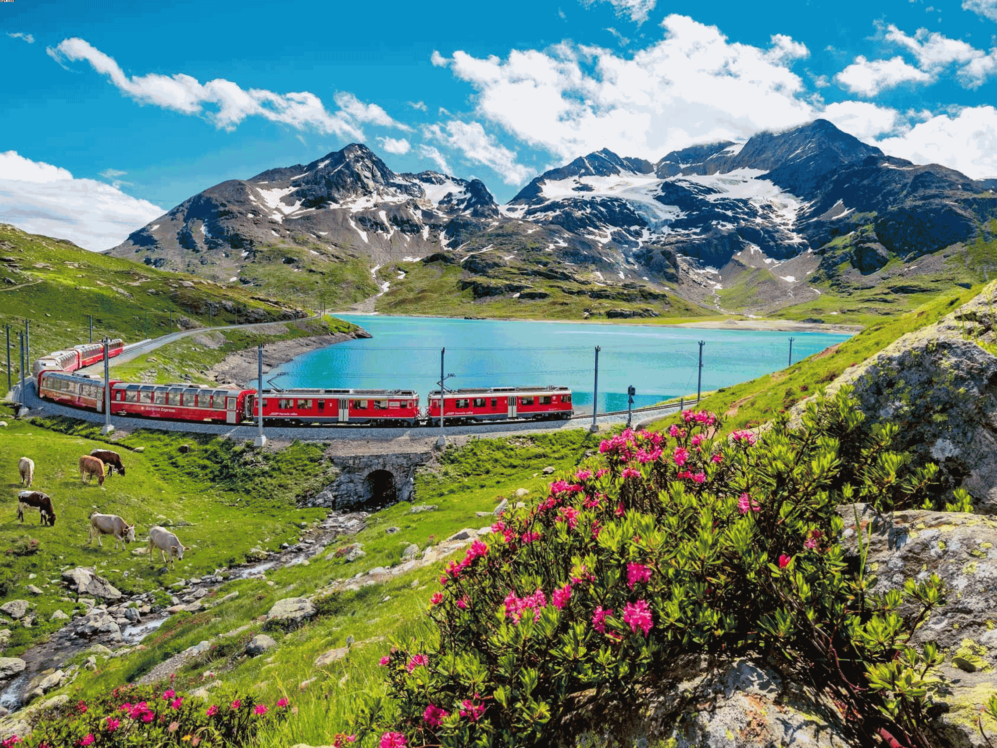 mountain trip from zurich