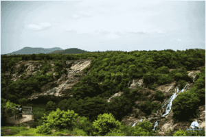 The contrasting beautiful waterfalls of the Western Ghats