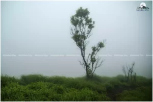 Nestled amidst the lush green landscapes of the Western Ghats in Karnataka, Coorg, also known as Kodagu