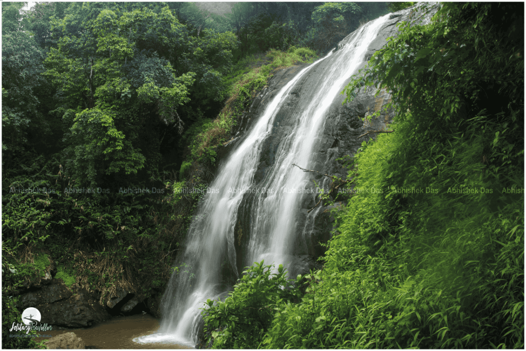 dense tropical forest with tea, coffee and spice plantations.