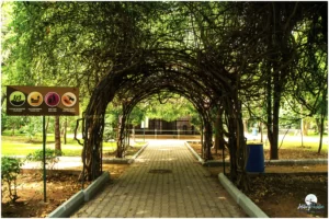 As planning to make a special-zoological garden, it supervises to create a natural habitat for the animals