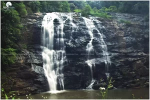 Abbey Waterfalls, the sound of rushing water and the lush greenery will transport you to a different world.