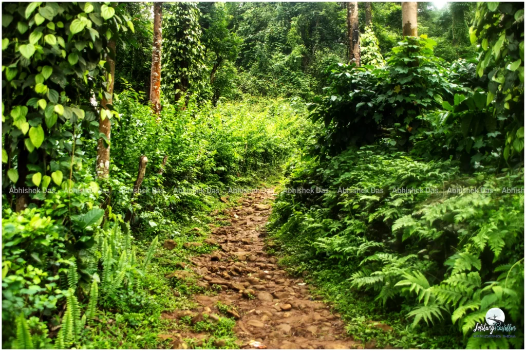 Chelavara Waterfalls, a pristine cascade tucked away in the heart of nature