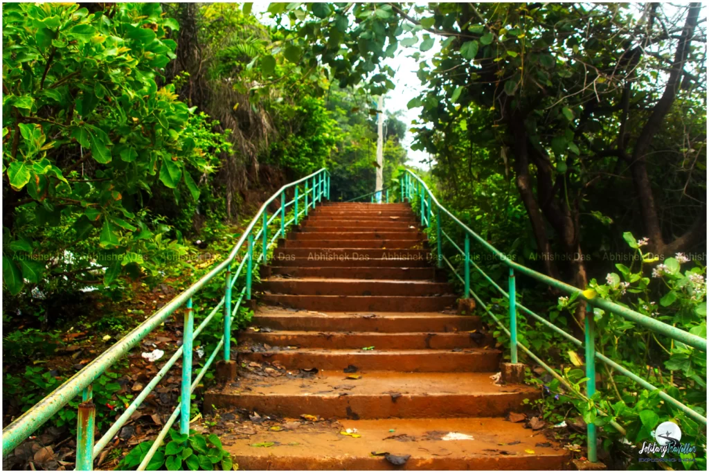 You can also explore the lush green hills and forests surrounding Gokarna on various trekking trails.
