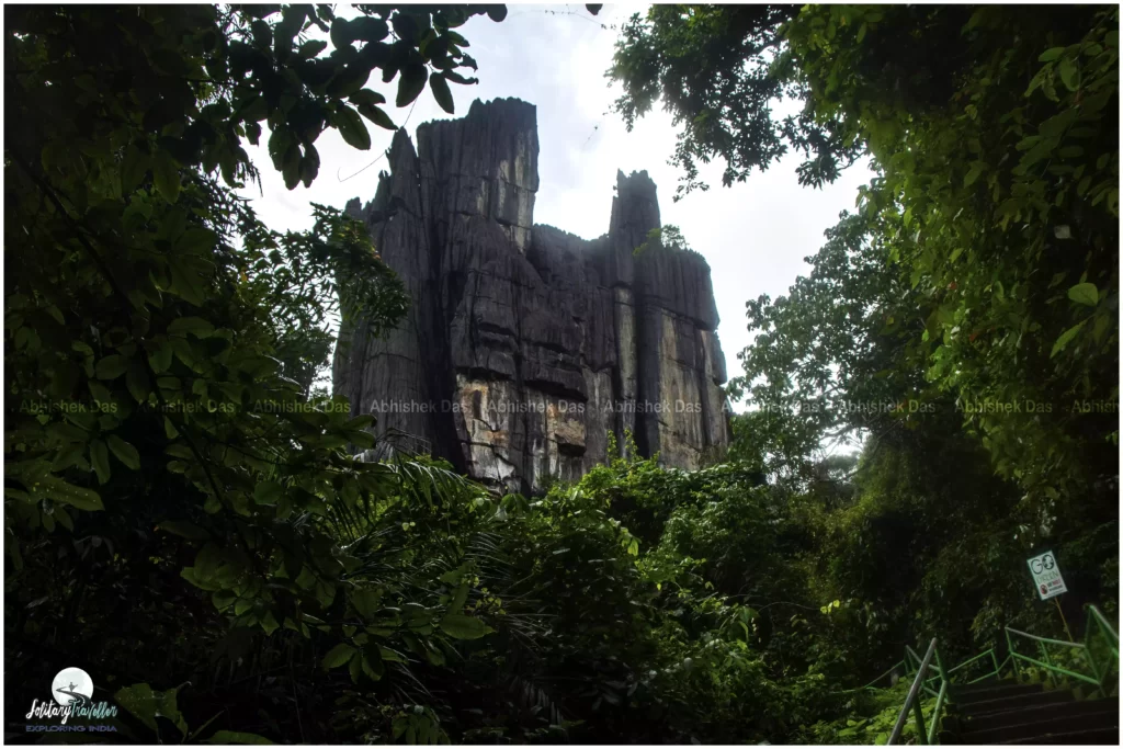 Hidden deep within the lush forests of Karnataka, India, lies the mystical Yana Caves