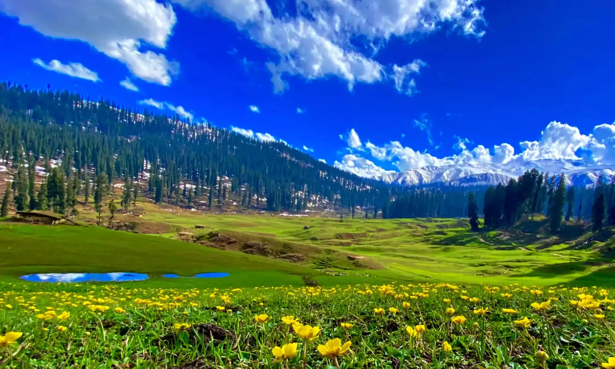 Kashmir's Journey to Being Heaven on Earth travel holiday