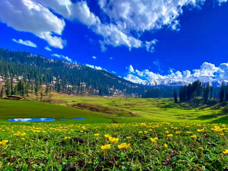 Kashmir's Journey to Being Heaven on Earth travel holiday