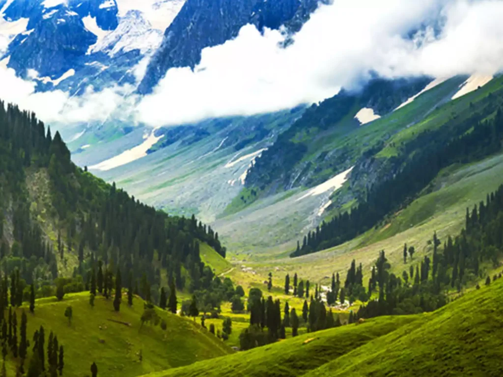 Sonamarg, where you will find alpine meadows, stunning glaciers