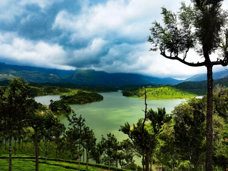 India has attracted tourists more than most of the countries around the globe