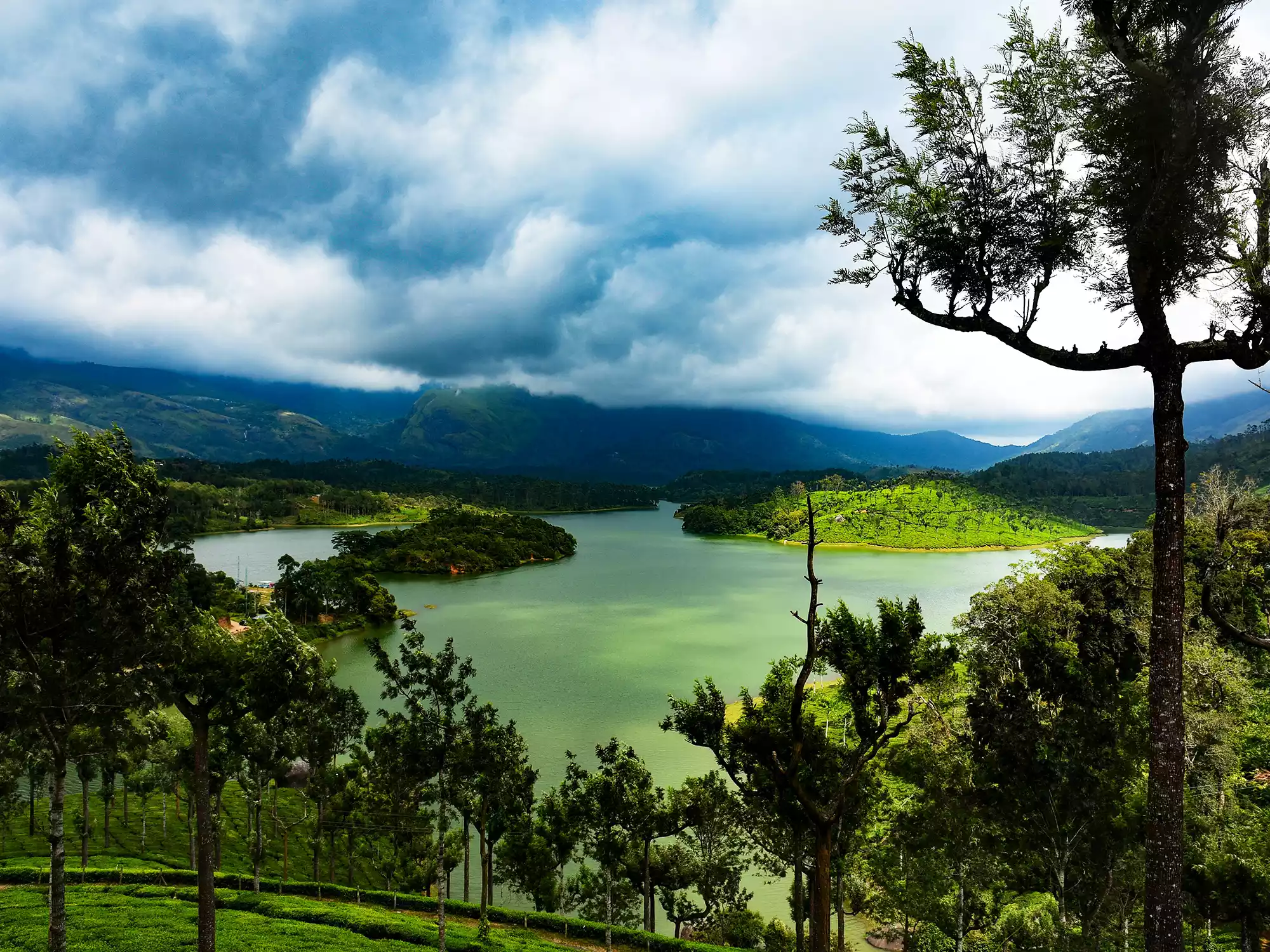 India has attracted tourists more than most of the countries around the globe