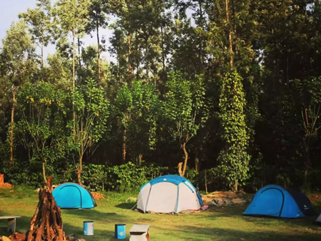 Dandeli Jungle Reserve offers a unique experience of the Western Ghats 