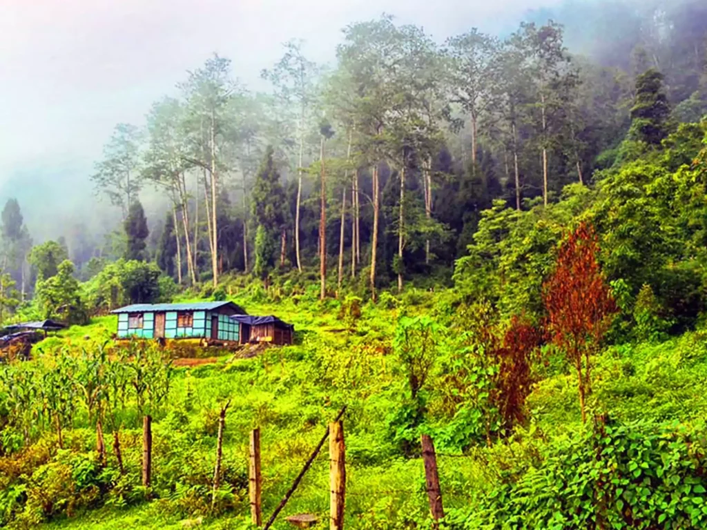 Sillery Gaon presents a beautiful view of the Kanchenjunga mountain range