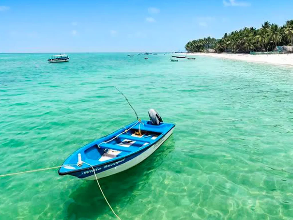  coral reefs Kavaratti Island