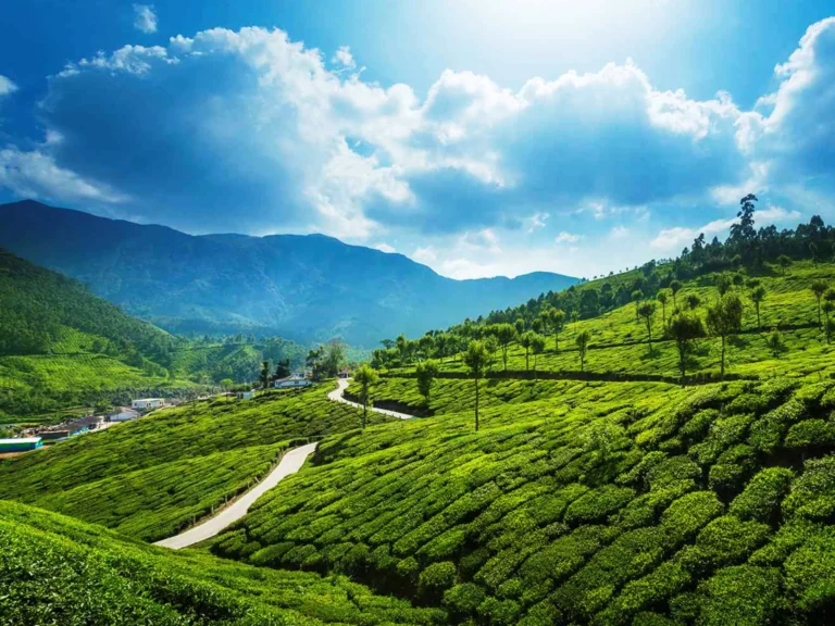 God’s Own Country Kerala is a kid-friendly holiday destination in India