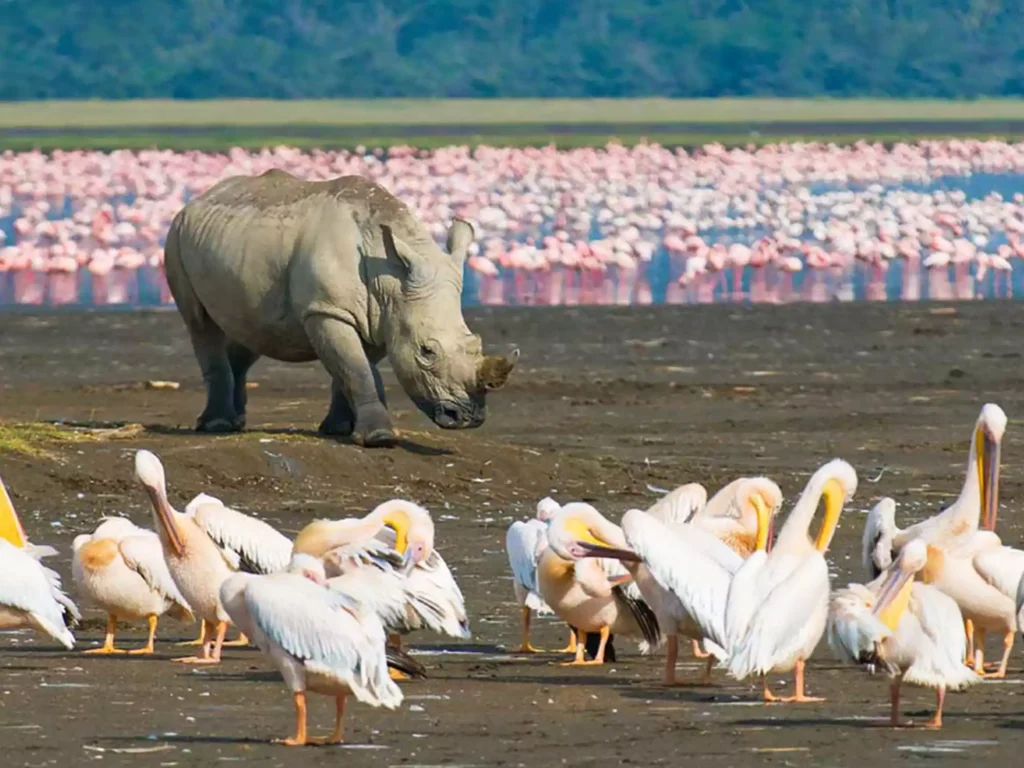 sustainable travel wildlife destinations