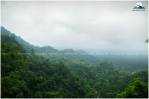 The trek begins at Zero Point, the starting point for many trails within the Buxa Tiger Reserve
