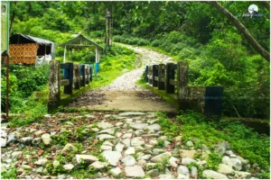 The initial part of the trek involves a steady ascent through dense forests.