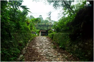 Trekking in the  Buxa Tiger Reserve National Park is an adventure that blends history, nature, and culture