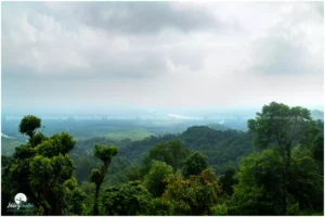 The Buxa Tiger Reserve National Park is nestled in the scenic Alipurduar district