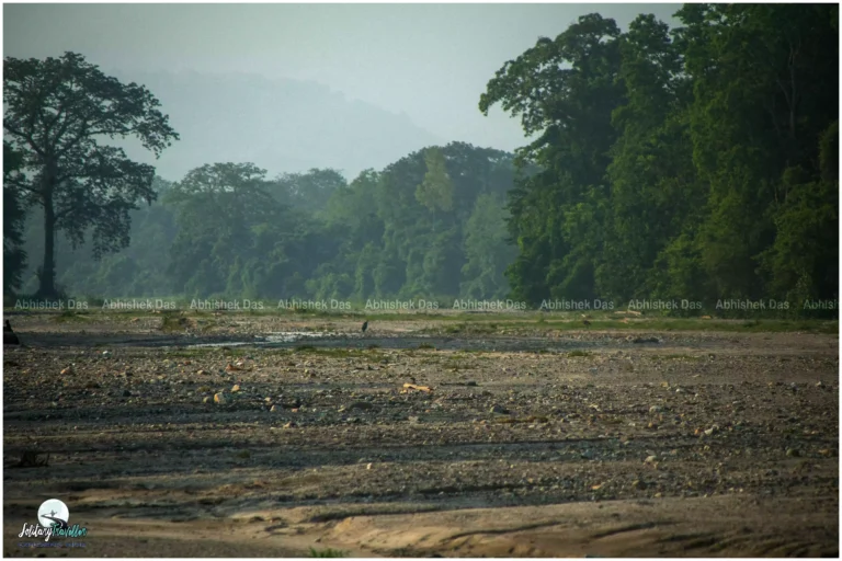 Exploring Jayanti Riverbed