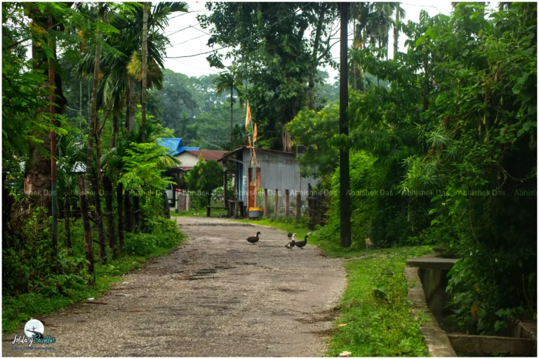 Upon my arrival in Jayanti, I was instantly enamoured by the tranquil and awe-inspiring landscape
