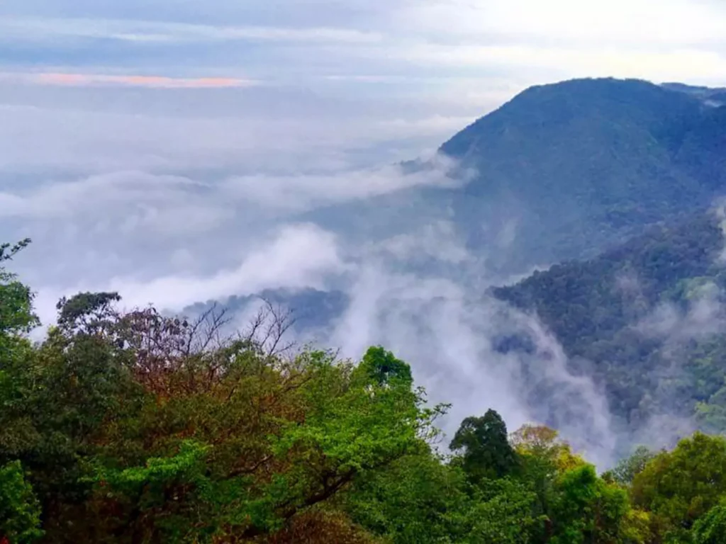 Agumbe lush greenery and diverse wildlife
