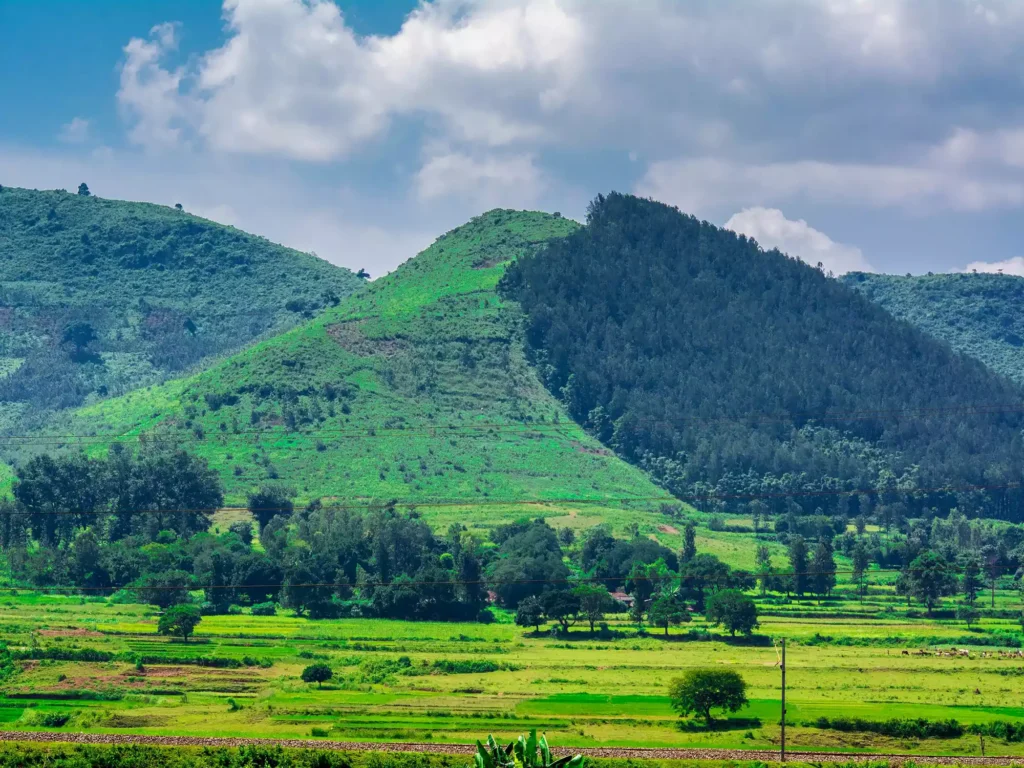 Araku Valley Eastern Ghats Andhra Pradesh