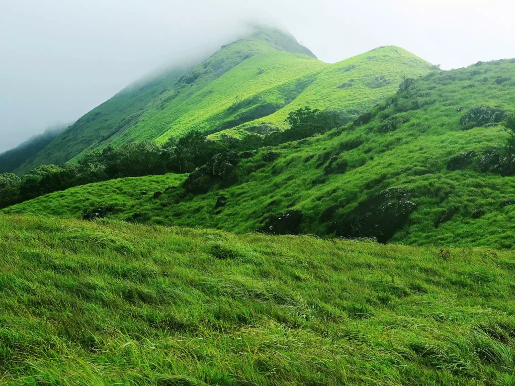 Chembra Peak is located Meppadi Wayanad Kerela