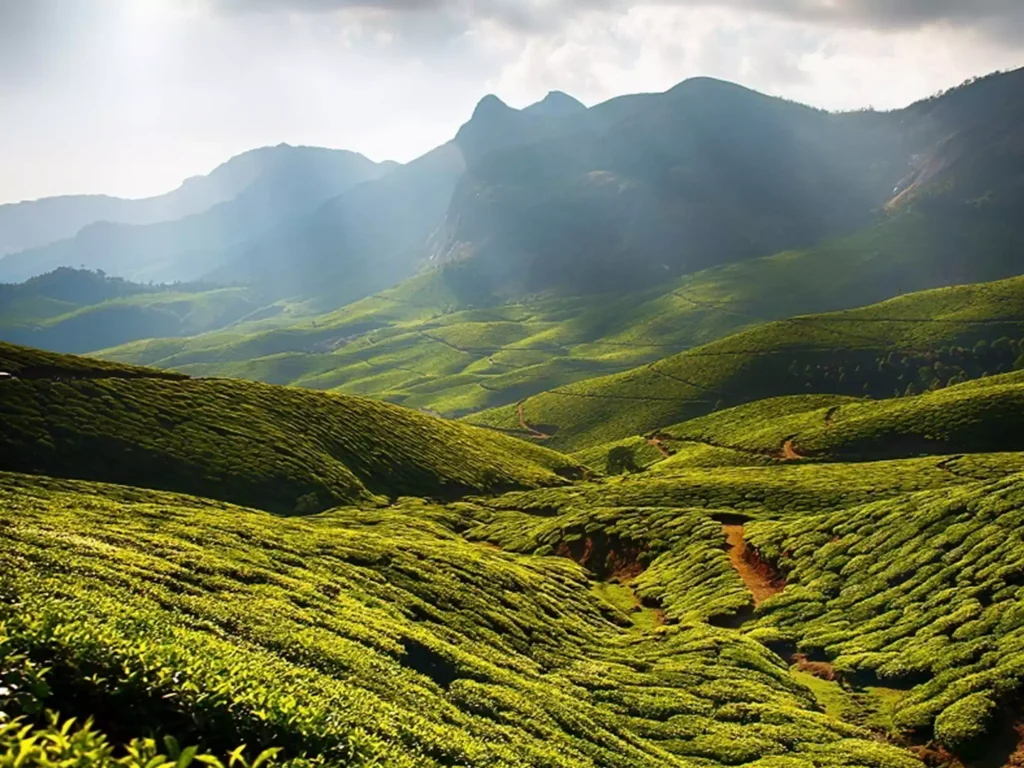 Kolukkumalai Tea Estate is not only famous for its exceptional tea