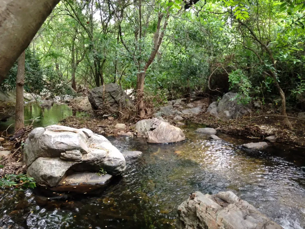 Nagalapuram consider camping near the trekking base