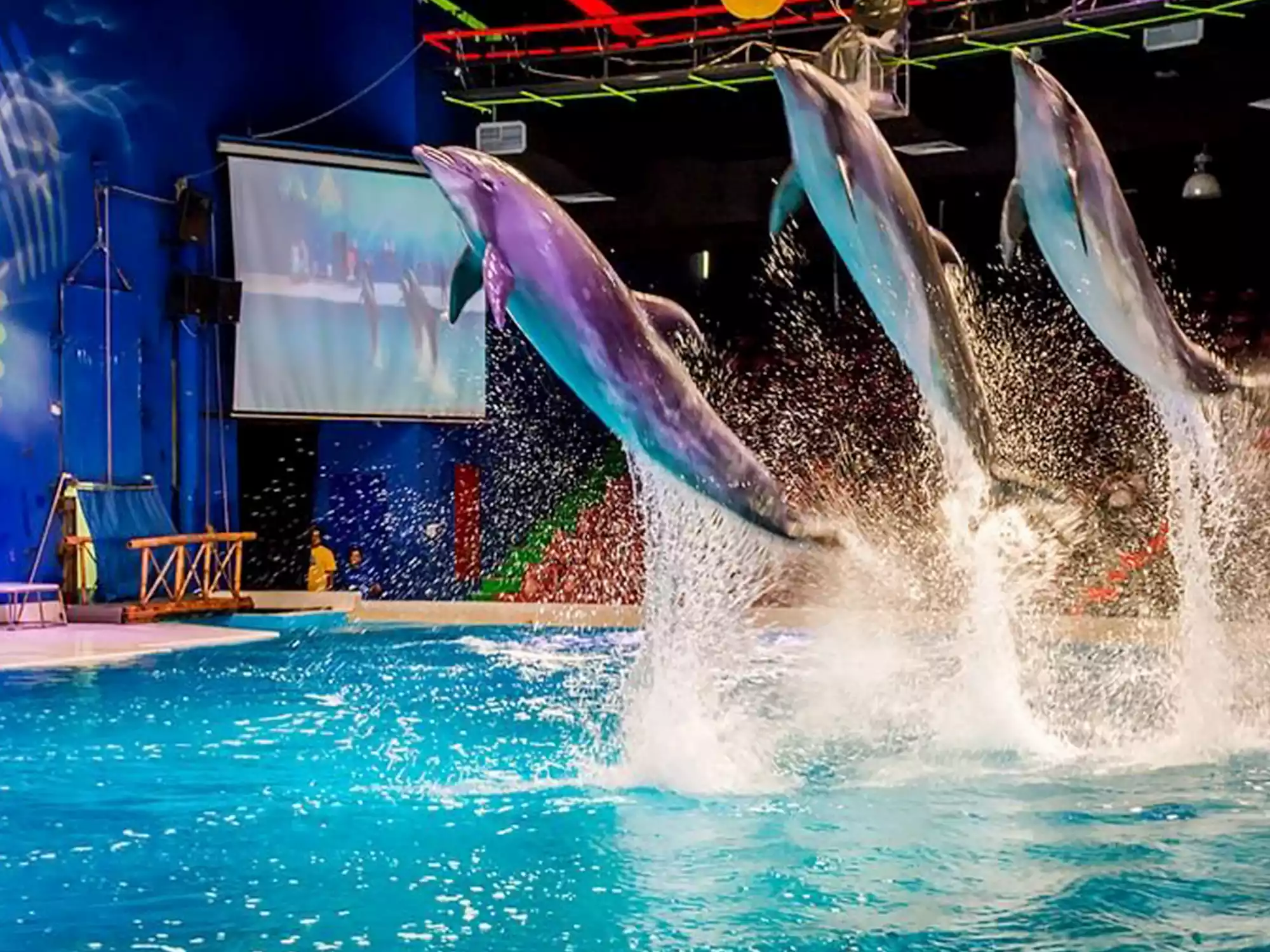 Top Kid-Friendly Spots in Dubai