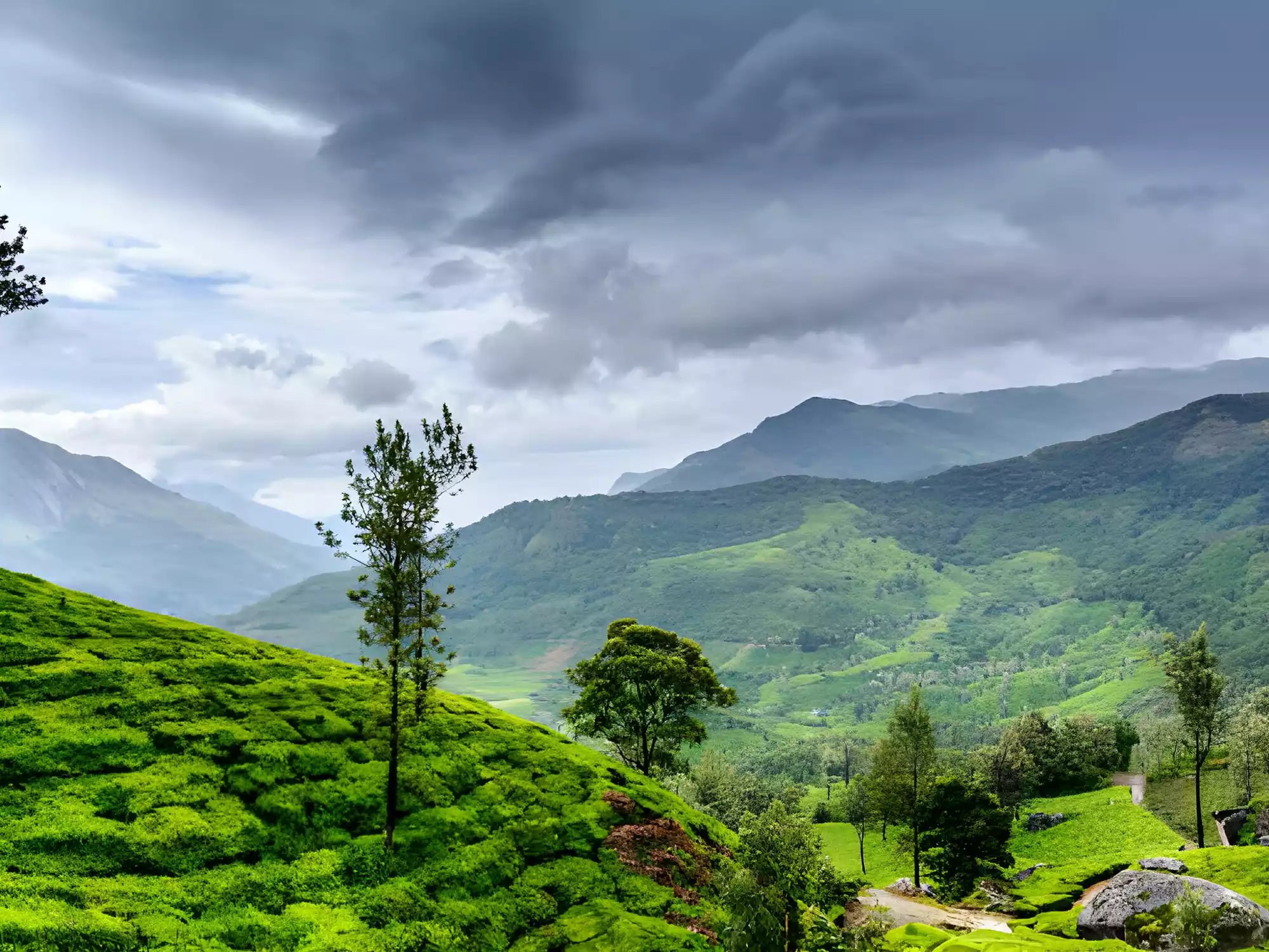 Here is the top 8 list of activities in Wayanad