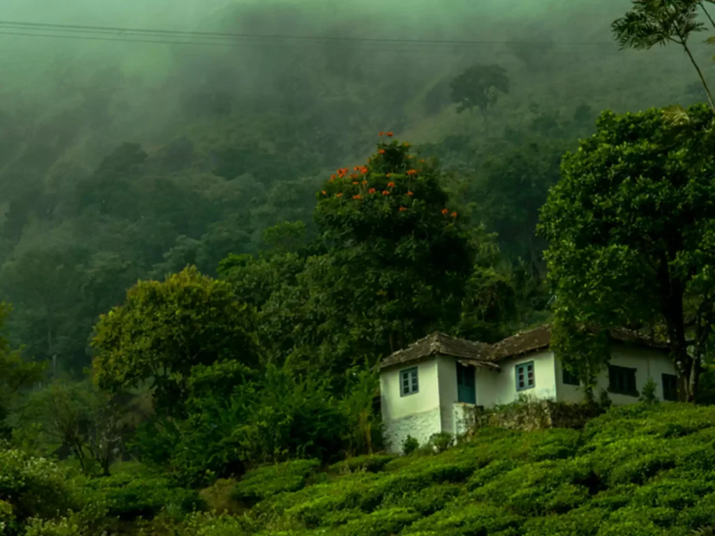 Best time to visit the monsoon in India begins from June and continues till September