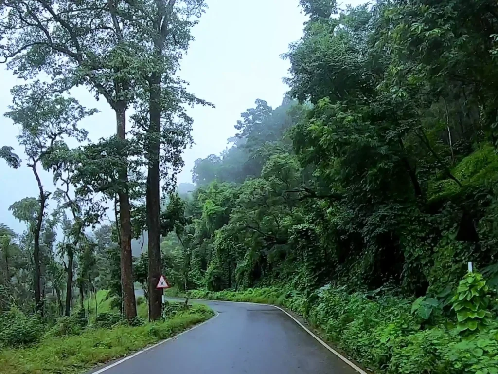 The monsoon enhances the beauty that Chikmagalur has to offer to its visitors, thus making it a unique and unforgettable experience