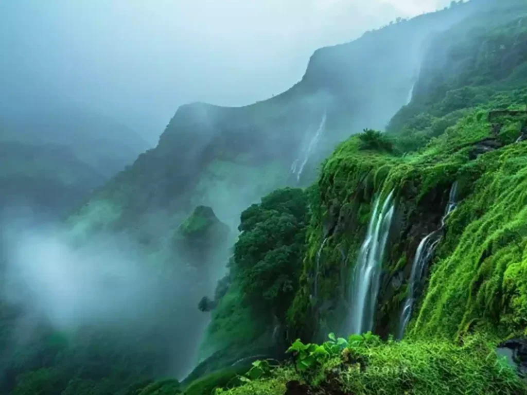 The monsoon in Mahabaleshwar also mark the beginning of strawberry season, which makes strawberry picking a fun activity for visitors