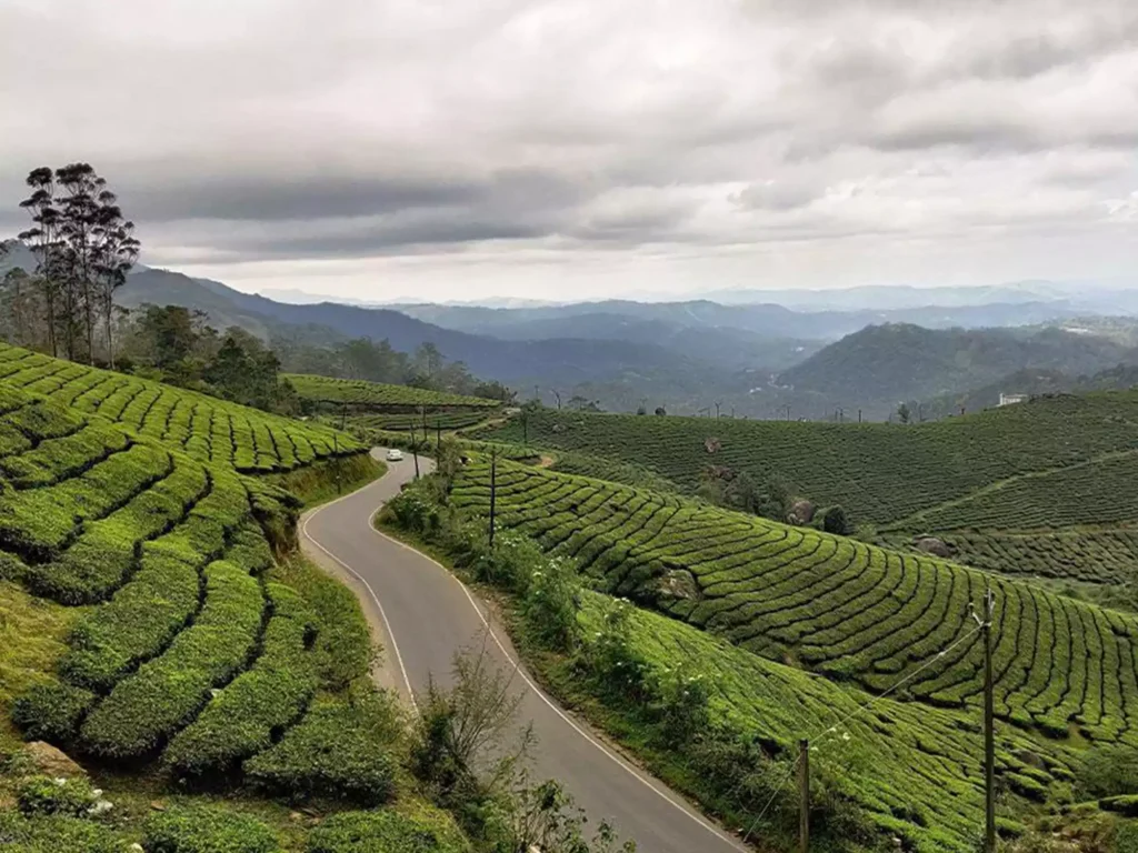 Munnar is a town in Kerala and is a part of the Western Ghats Mountain range during rainy season