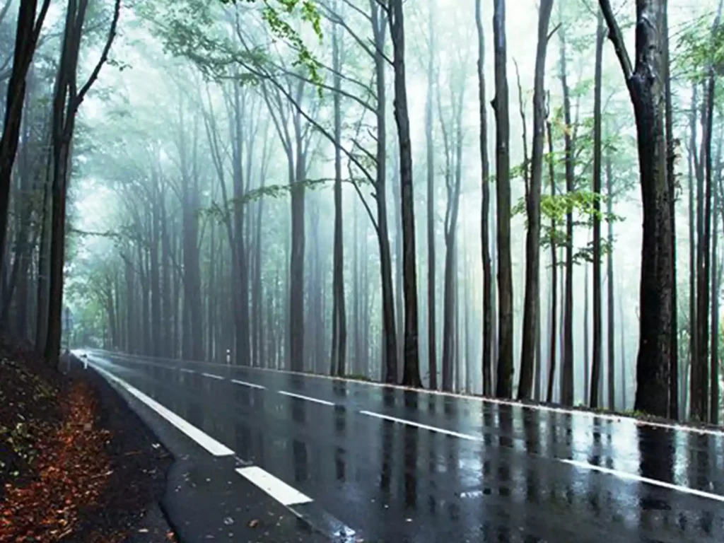 Top Destinations to Explore the Monsoon Magic in India travel