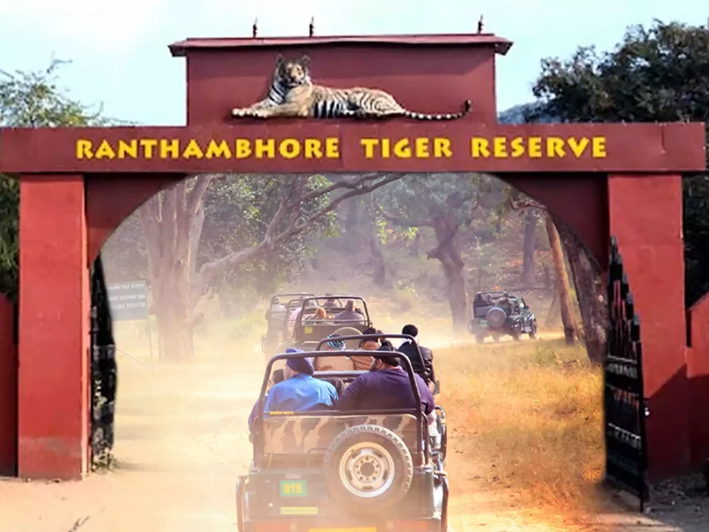 Tigers, deer, and different types of birds are only some of the many animal species that stroll through the jungles of Ranthambore National Park
