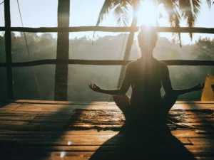 Best Wellness Retreats in India holistic healing
