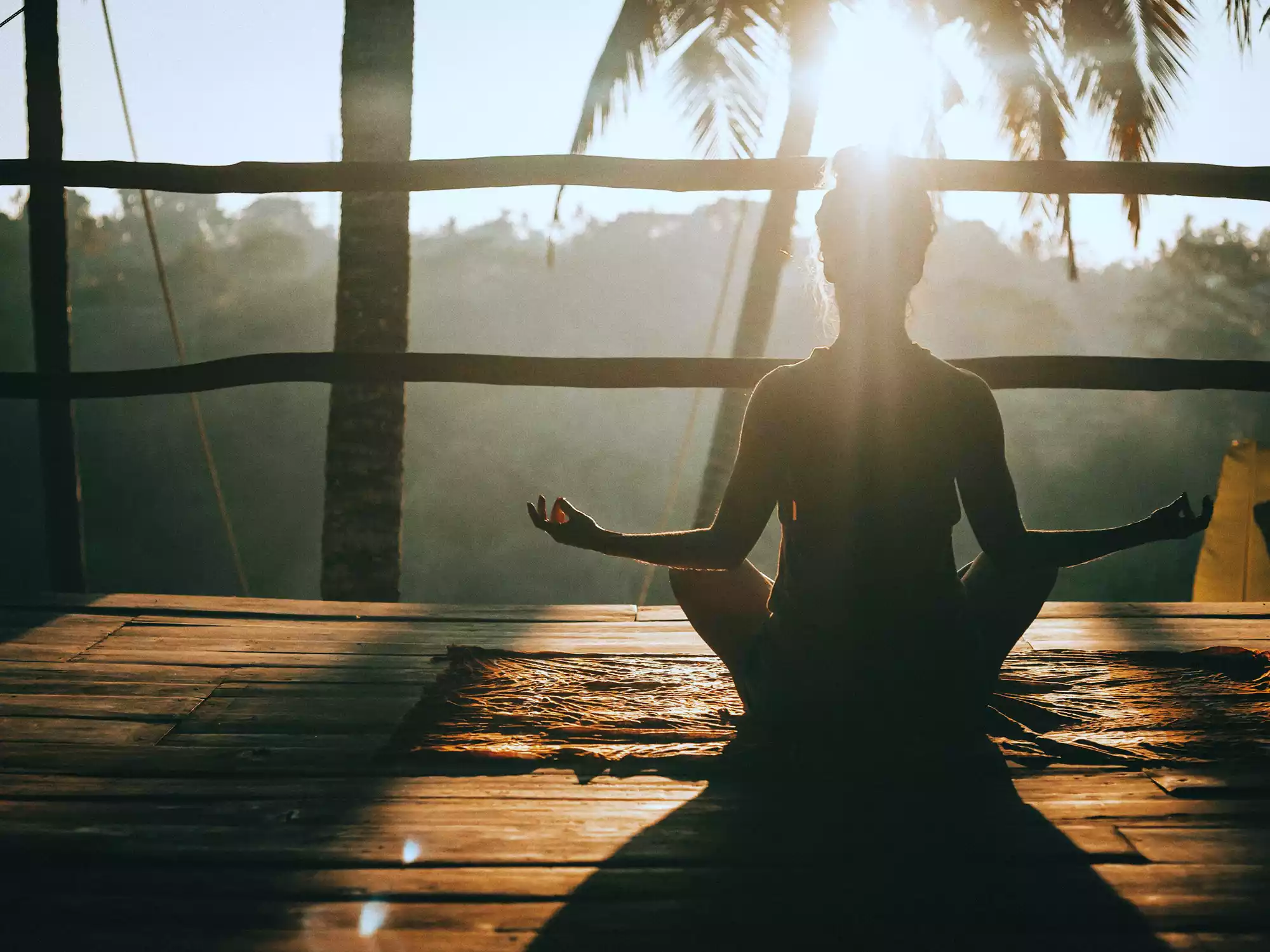 Best Wellness Retreats in India holistic healing