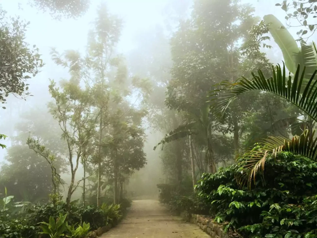 Monsoon months in Yerchaud are safer than some other hill stations